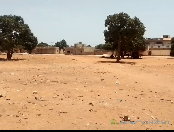 terrains-180m2-pout-tf-indiv-face-ecole-5-big-0