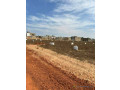 terrains-viabilises-a-vendre-a-niakhirate-small-3