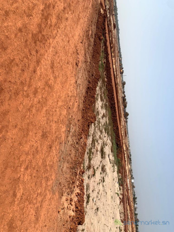 terrains-viabilises-a-vendre-a-niakhirate-big-2