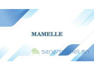 TERRAIN AUX MAMELLES