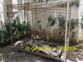 a-vendres-small-2