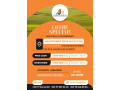 des-terrains-de-225m2-a-vendre-a-malicounda-a-2500000fcfa-small-0