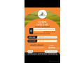 des-terrains-de-225m2-a-vendre-a-malicounda-a-2500000fcfa-small-1