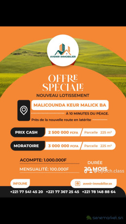des-terrains-de-225m2-a-vendre-a-malicounda-a-2500000fcfa-big-1
