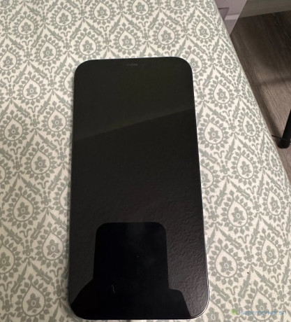 iphone-12-pro-max-big-0