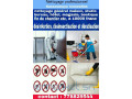 nettoyage-general-desinfection-et-traitement-dinsectes-small-0
