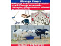nettoyage-general-desinfection-et-traitement-dinsectes-small-2