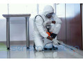 nettoyage-general-desinfection-et-traitement-dinsectes-small-1