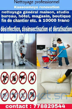 nettoyage-general-desinfection-et-traitement-dinsectes-big-0