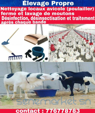 nettoyage-general-desinfection-et-traitement-dinsectes-big-2