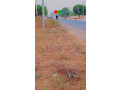 terrain-a-vendre-small-1
