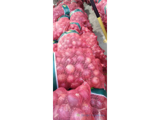 Oignons
