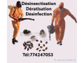phytosanitaires-small-0